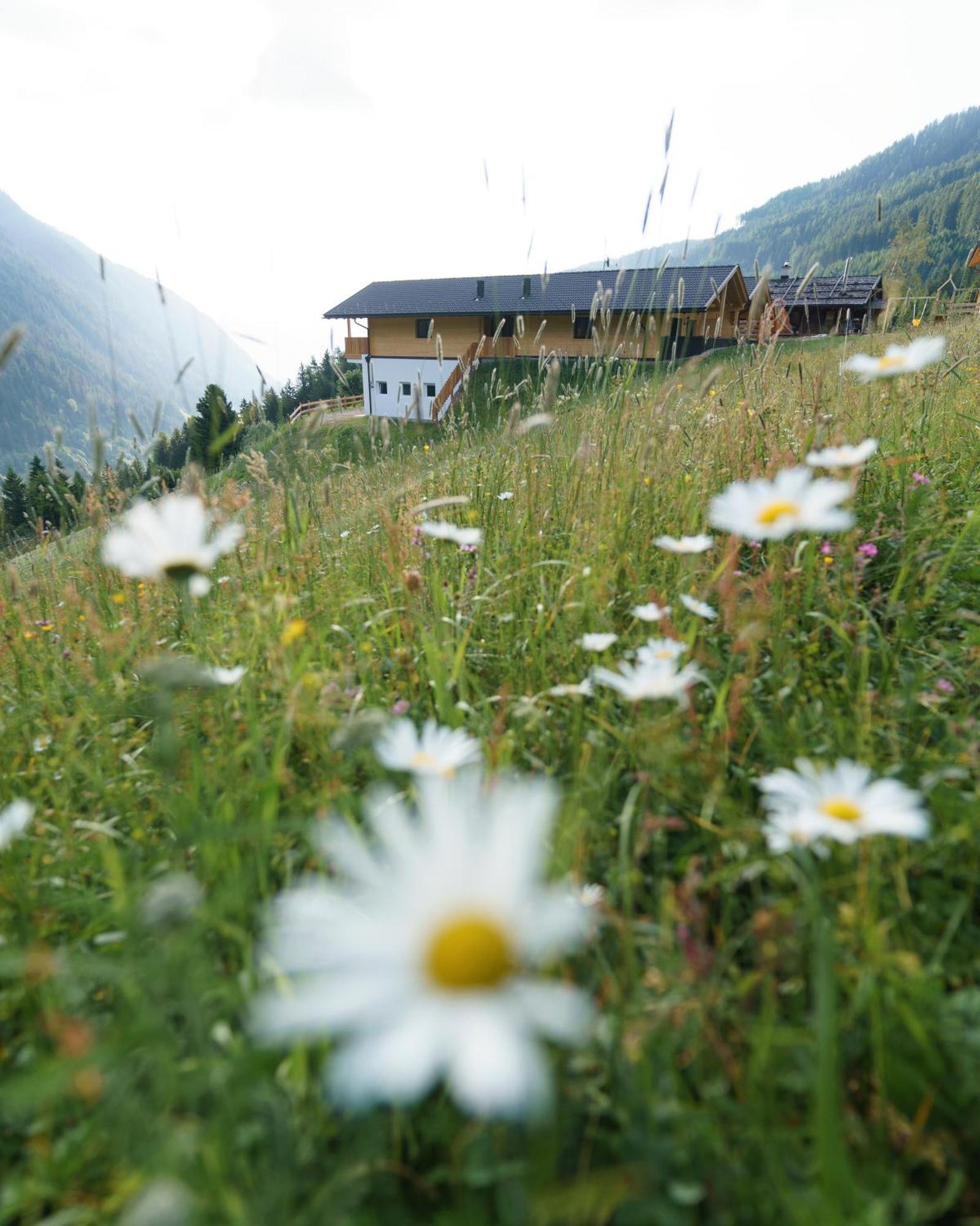 Blosegghof Bergchalets Waldblick ราชีเนส ภายนอก รูปภาพ